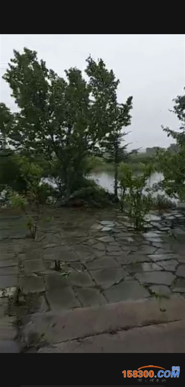 鱼池转让