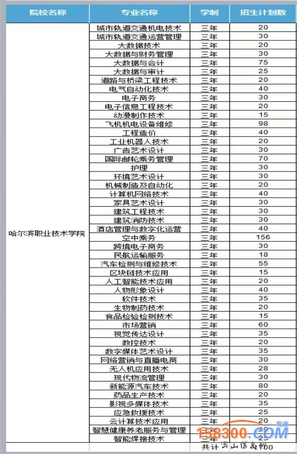 哈尔滨职业技术大学，单招，18204672123