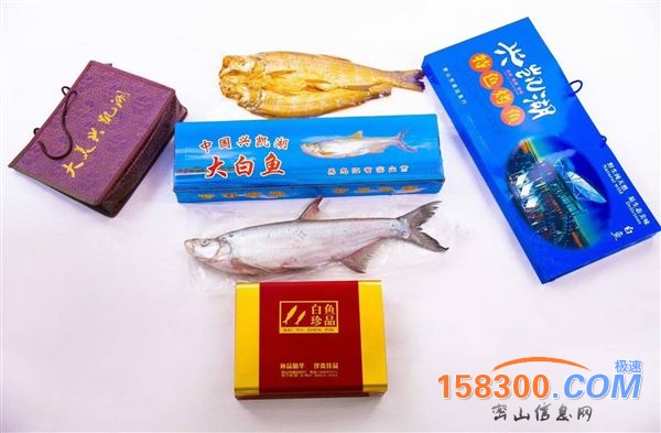 批发白鱼假一赔万18204672123