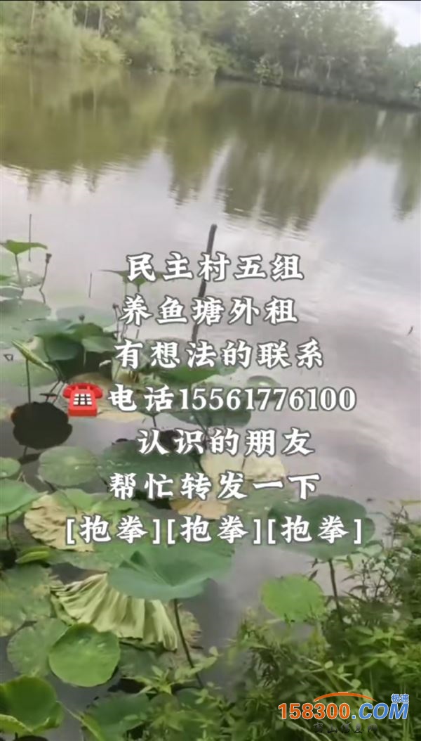 鱼塘出租能过冬，可养殖