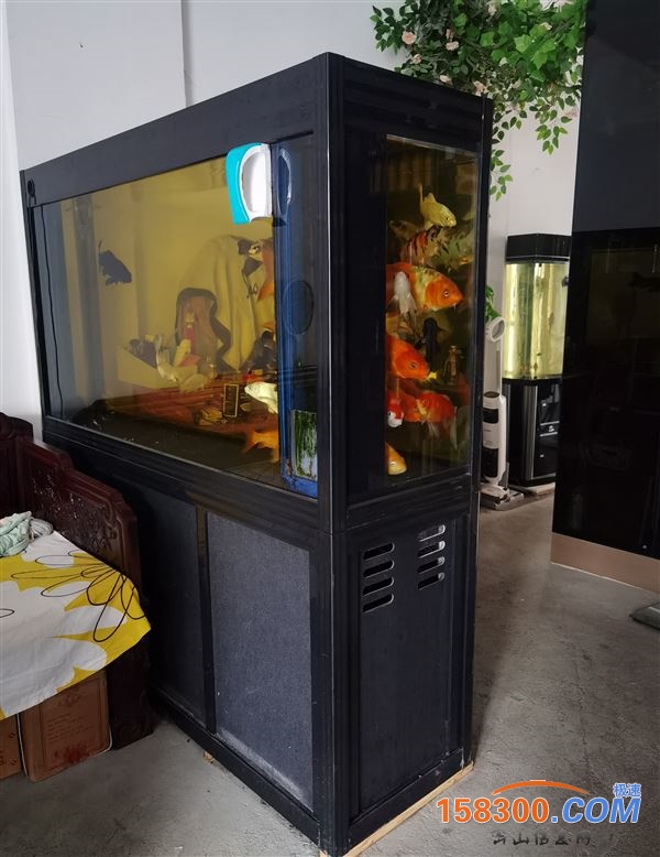 鱼缸