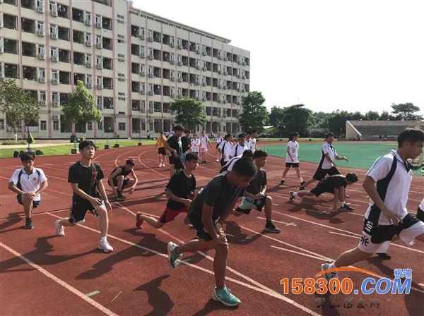 招体特特长生18204672123